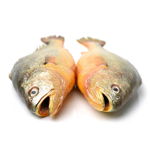 Dwa całe surowe ryby — Zdjęcie stockowe