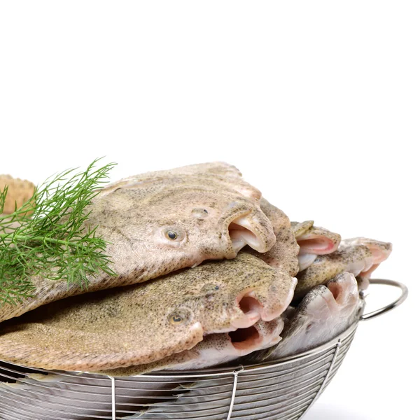 Raw flounders with herb in bowl — Stock Photo, Image