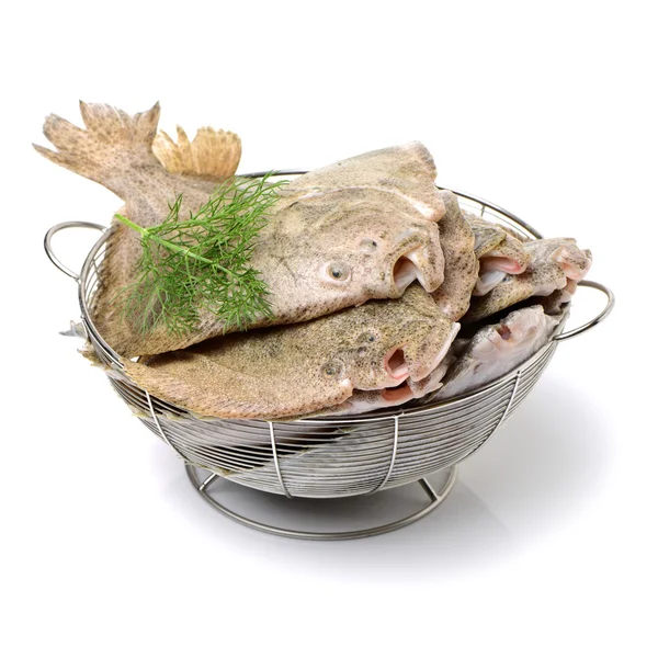 Raw flounders with herb in bowl — Stock Photo, Image