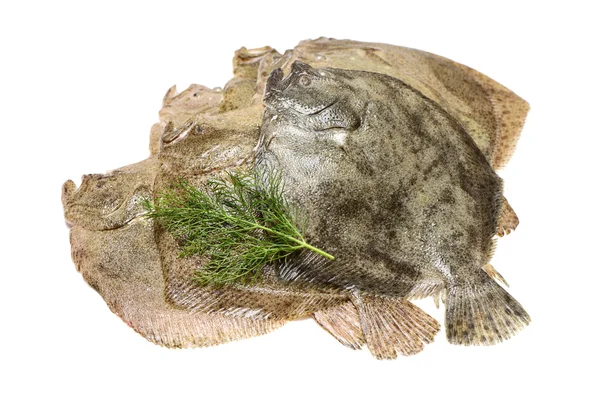 Pile of raw flounders with herb — Stock Photo, Image