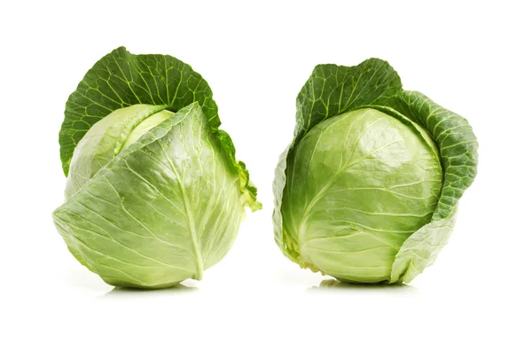 Two whole fresh cabbages — Stock Photo, Image