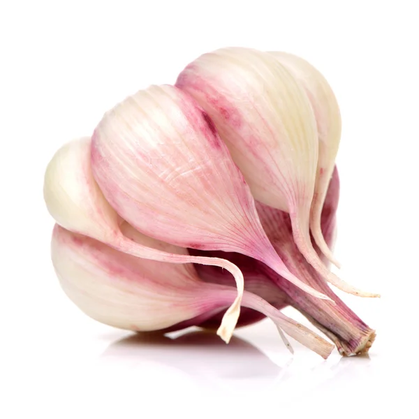 Dry pink garlic bulb — Stock Photo, Image