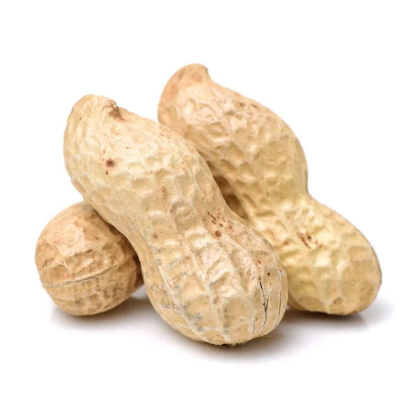 Pile of dry peanuts with shell — Stock Photo, Image