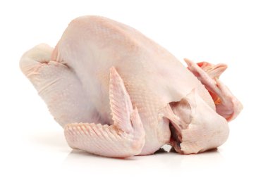 beyaz üzerine ham bütün tavuk