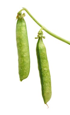 Beyaz üzerine taze bezelye