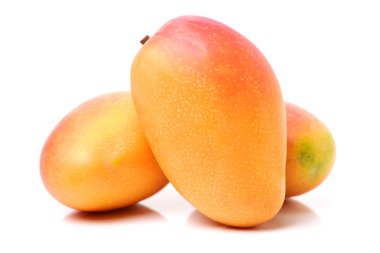 Fresh ripe Mangos clipart