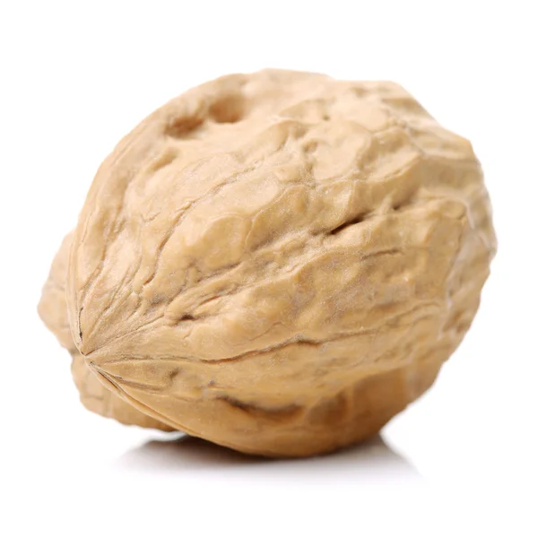 Dry walnut with shell — Stock Photo, Image