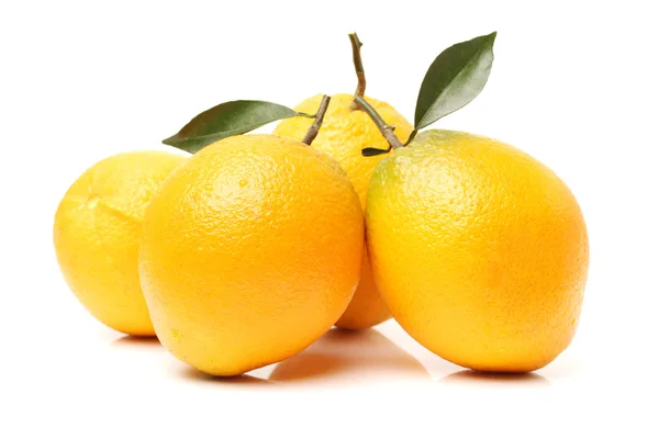 Hele verse citroenen met groene bladeren — Stockfoto