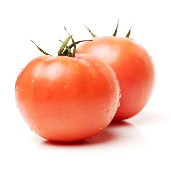 Twee verse natte tomaten — Stockfoto