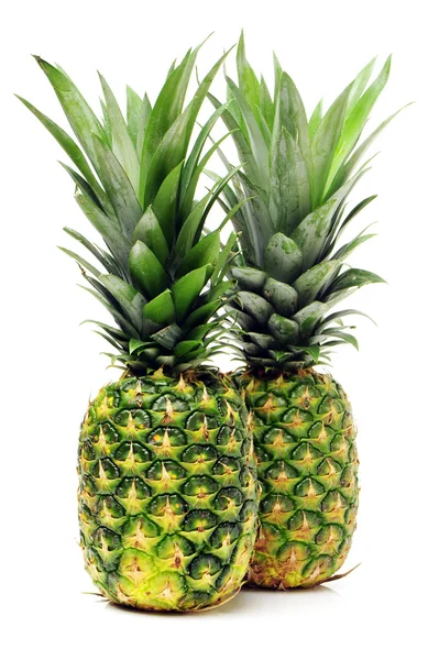 Twee groene ananas met bladeren — Stockfoto