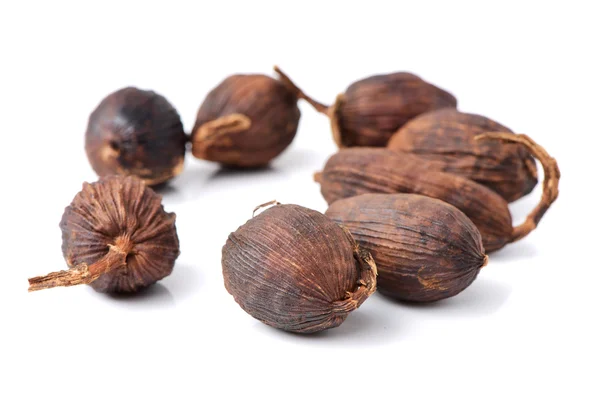 Frutos secos maduros en blanco — Foto de Stock