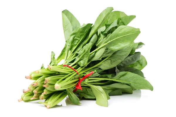 Fresh Spinach bunch — Stock Photo, Image