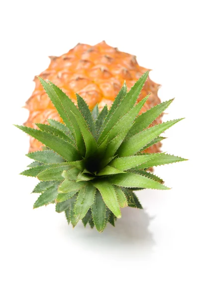 Całego ananasa z zielonych liści — Zdjęcie stockowe
