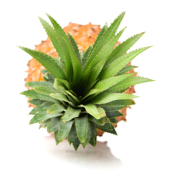 Hele ananas met groene bladeren — Stockfoto