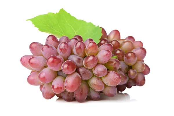 Bando de uvas com folha verde — Fotografia de Stock