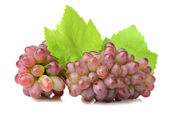 Bando de uvas com folhas verdes — Fotografia de Stock