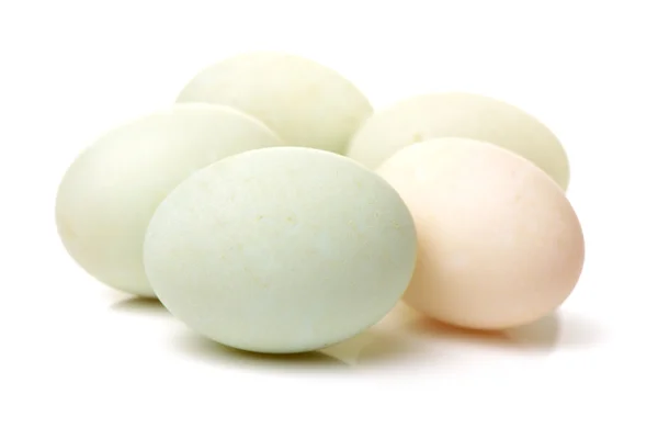 Pile of white chicken eggs — Stock Photo, Image