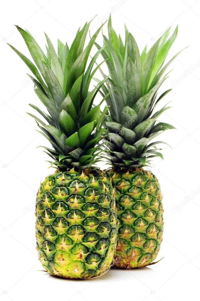 Two green pineapples with leaves