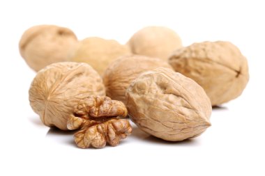 Yığın içinde deniz hayvanı kabuğu wallnuts