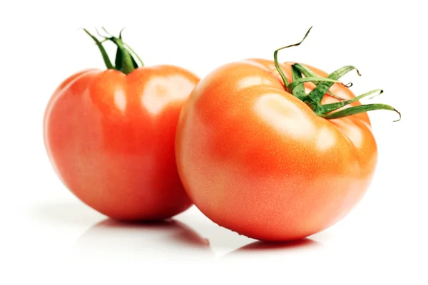 Zwei frische Tomaten — Stockfoto