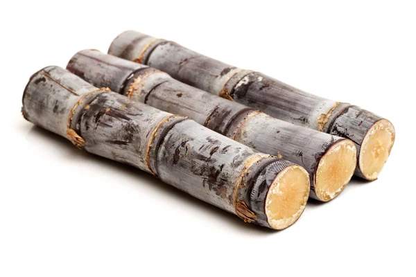 Sugar cane on white — Stock Photo, Image