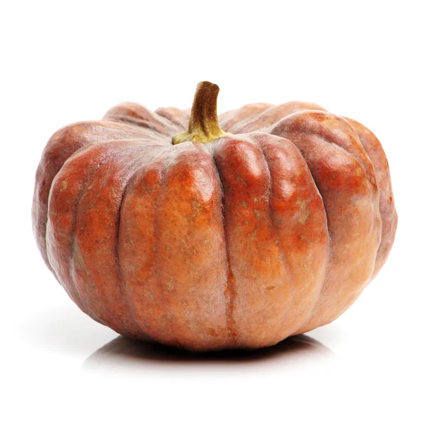 Large raw pumpkin — Stock Photo, Image