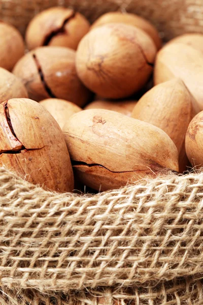 Dry Pecan nuts — Stock Photo, Image