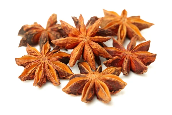 Dry star anise — Stock Photo, Image