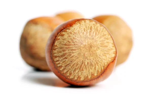 Pile of hazelnuts with shell — Stock Photo, Image