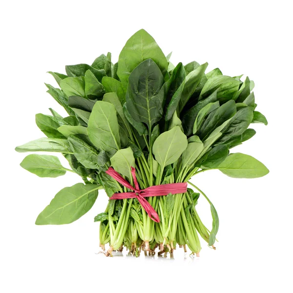 Bunch of green sorrel — Stock Photo, Image