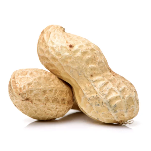 Сухий арахіс в мушлі — стокове фото