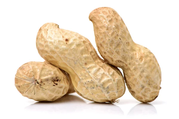Сухий арахіс в мушлі — стокове фото