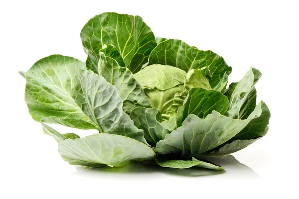 Fresh ripe cabbage — Stock Photo, Image