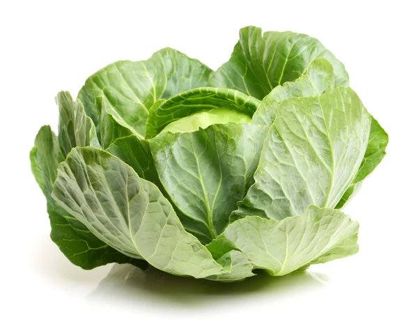 Fresh ripe cabbage — Stock Photo, Image