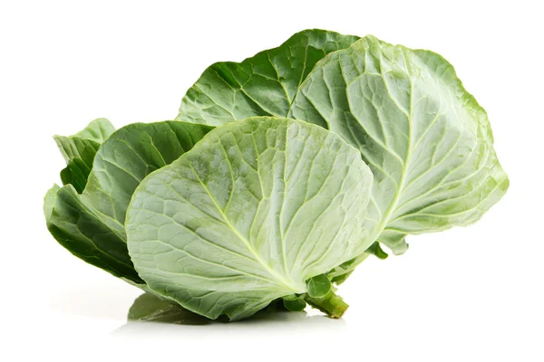 Fresh ripe cabbage — Stock Photo, Image