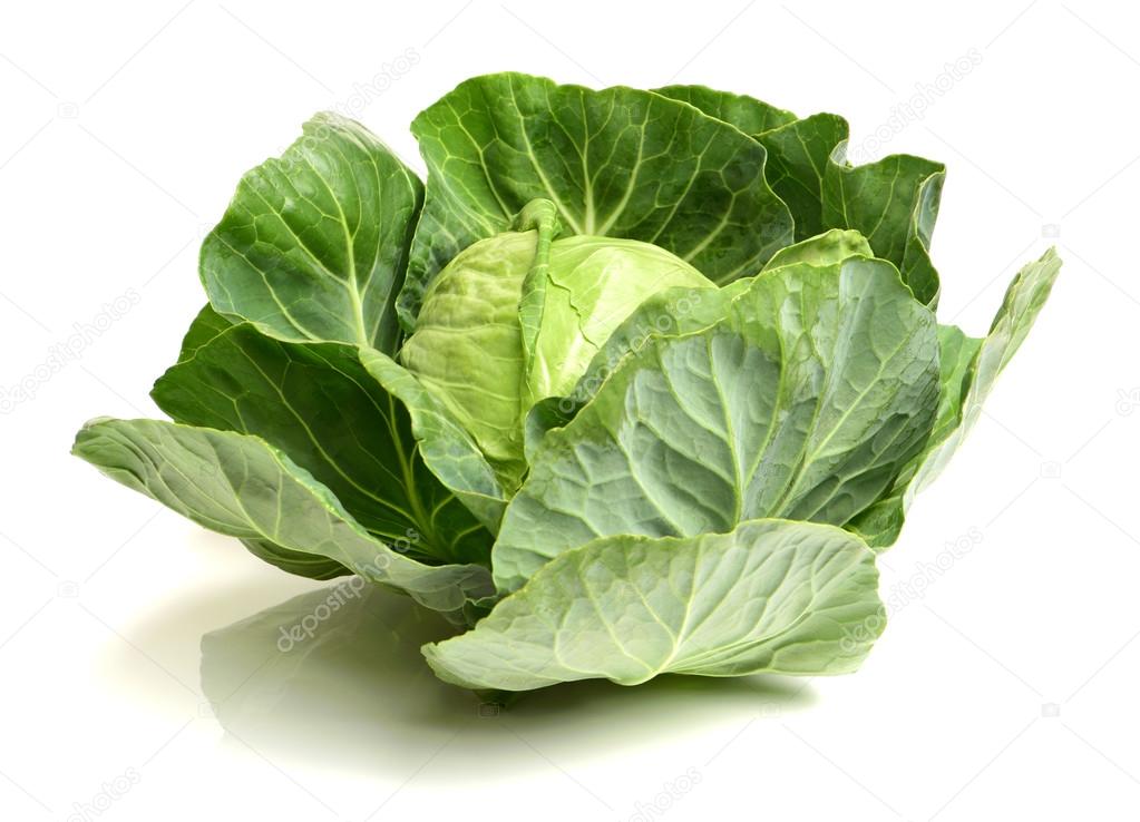 Fresh ripe cabbage