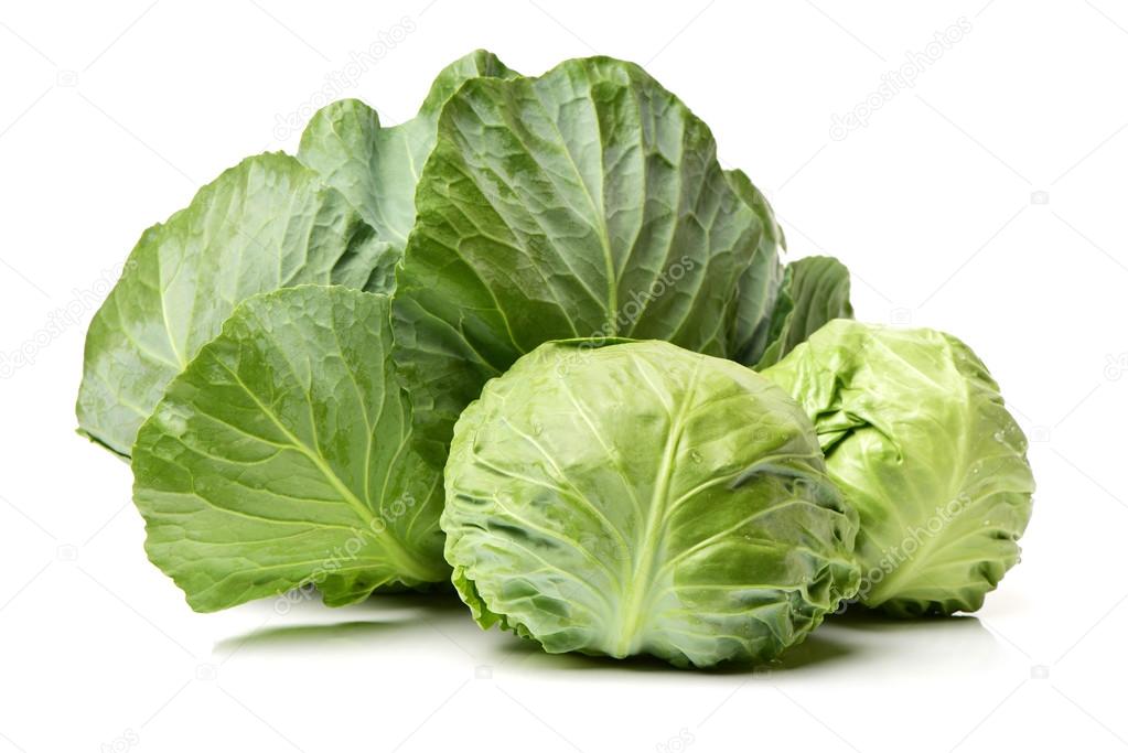Fresh ripe cabbages