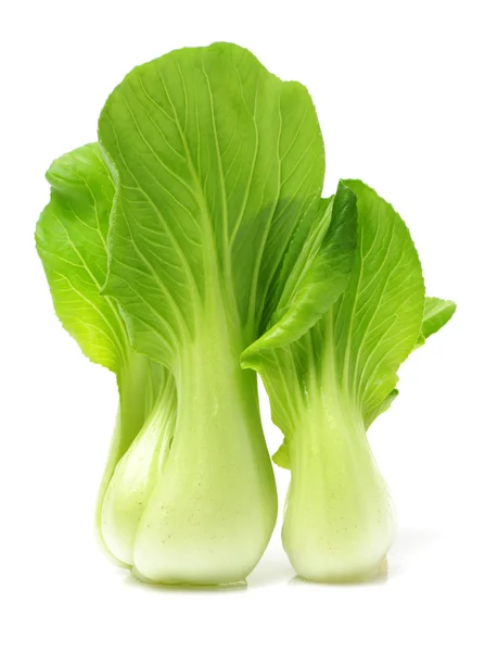 Pok Choi foglie verdi — Foto Stock