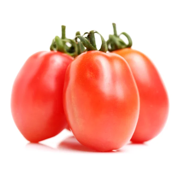 Fresh cherry tomatoes — Stock Photo, Image