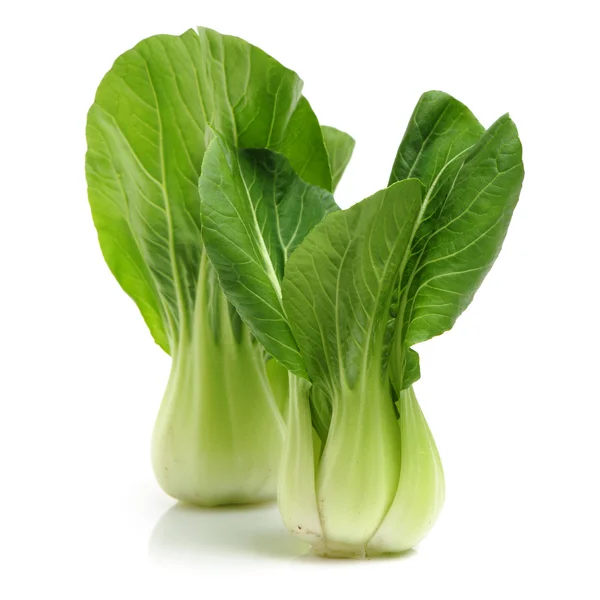 Fresh Bok choy vegetable — Stock Photo, Image