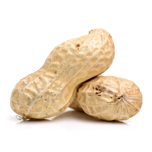 Deux cacahuètes en coquille — Photo