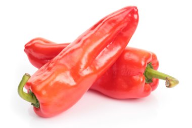 izole kırmızı biber biber