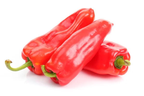 Röd chilipeppar isolerade — Stockfoto