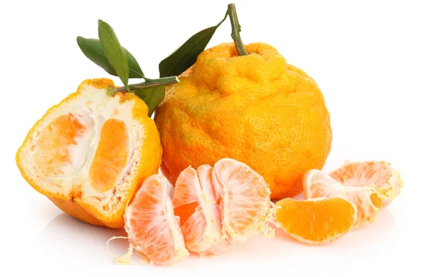 Dvojče čerstvé čínského pomeranče — Stock fotografie