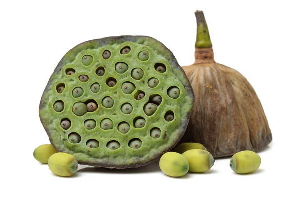 Lotus seeds — Stock Photo, Image