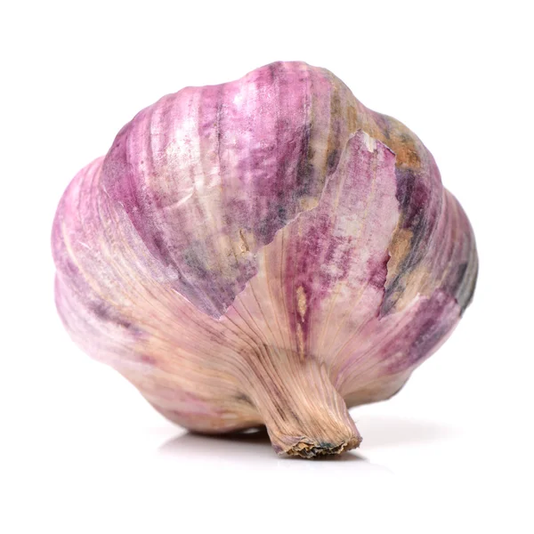 Целая луковица розового чеснока — стоковое фото