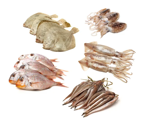 Набор разнообразных морепродуктов — стоковое фото
