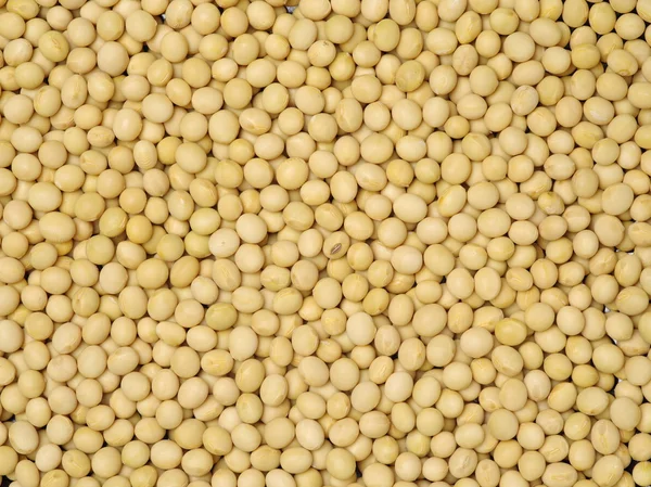 Złoto suche nasiona soi — Zdjęcie stockowe