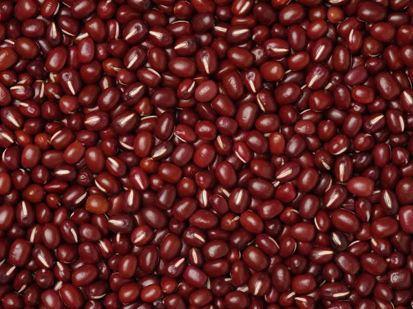 Pile of red beans — Stock Photo, Image