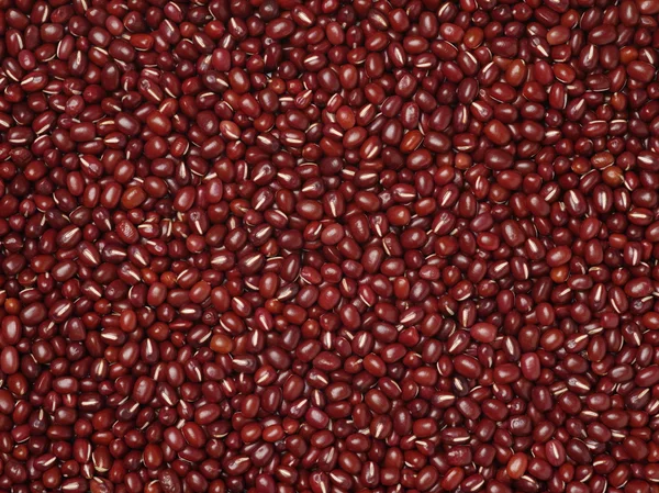 Pile of red beans — Stock Photo, Image